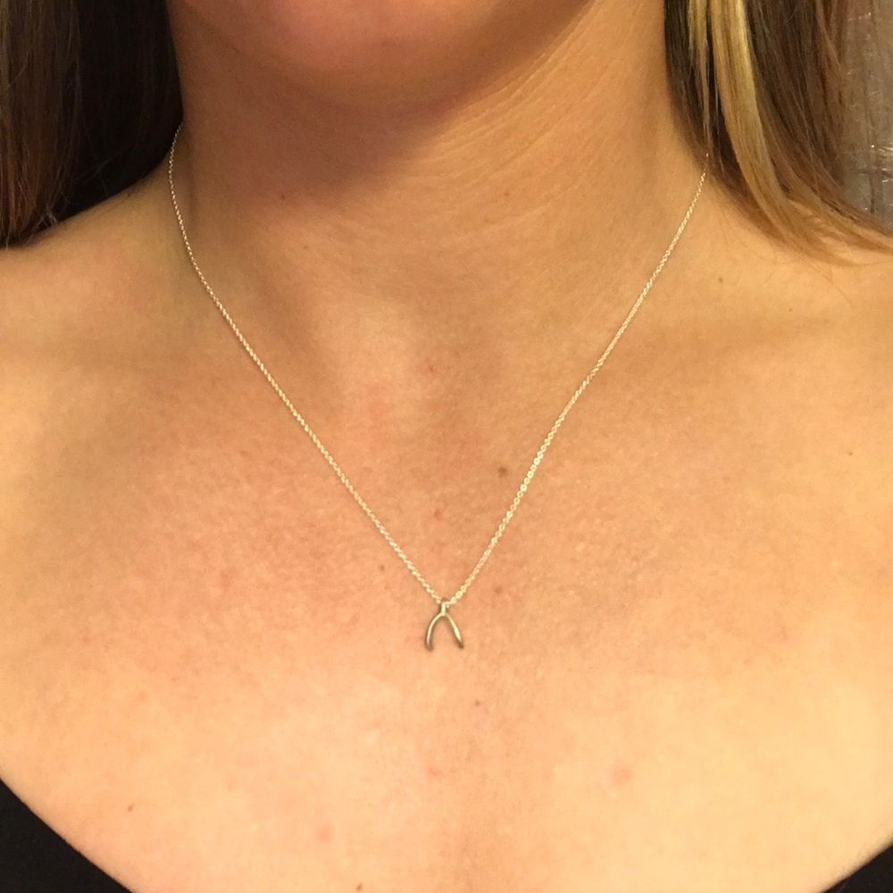 Sterling Silver Dogeared Teeny Wishbone Necklace